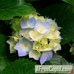 yura2025, 20060710, San-Pédro, Bas Sassandra, Ivory Coast yura2025, 20060710, San-Pédro, Bas Sassandra, Ivory Coast