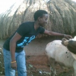 dauda, Uganda